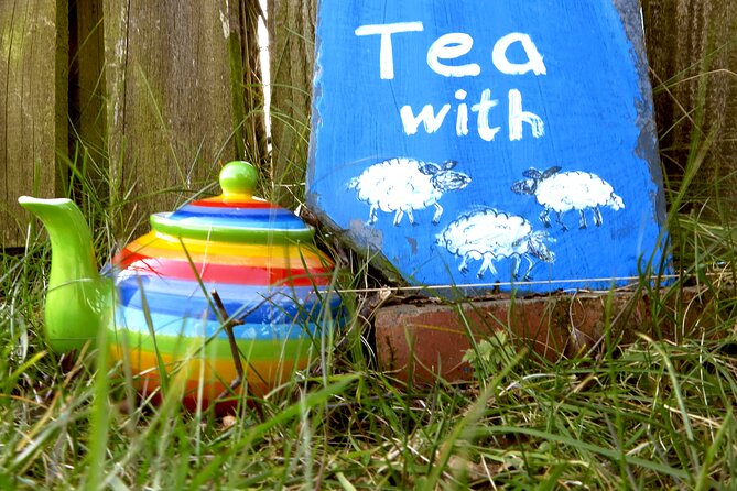 Tea with Naughty Sheep - Handling Weather and Practical Tips for the Outdoor Experience