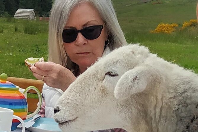 Tea with Naughty Sheep - The Role of the Guide and Personal Attention