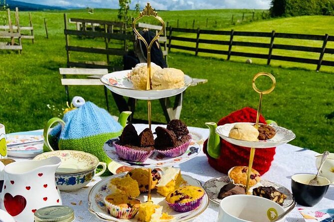 Tea with Naughty Sheep - Who Will Enjoy This Tour Most?