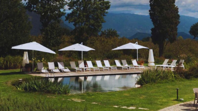 Teano: Biodynamic Wine Tasting with Tapas - The Art of Amphora Winemaking