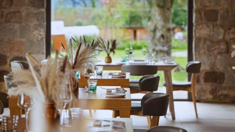 Teano: Biodynamic Wine Tasting with Tapas - Gourmet Tapas to Complement the Wines