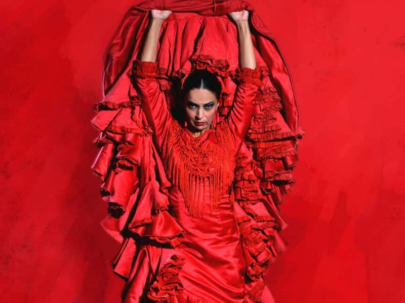 Teatro Flamenco Barcelona: An Authentic Flamenco Show Live - The Venue’s Atmosphere and Audience Experience