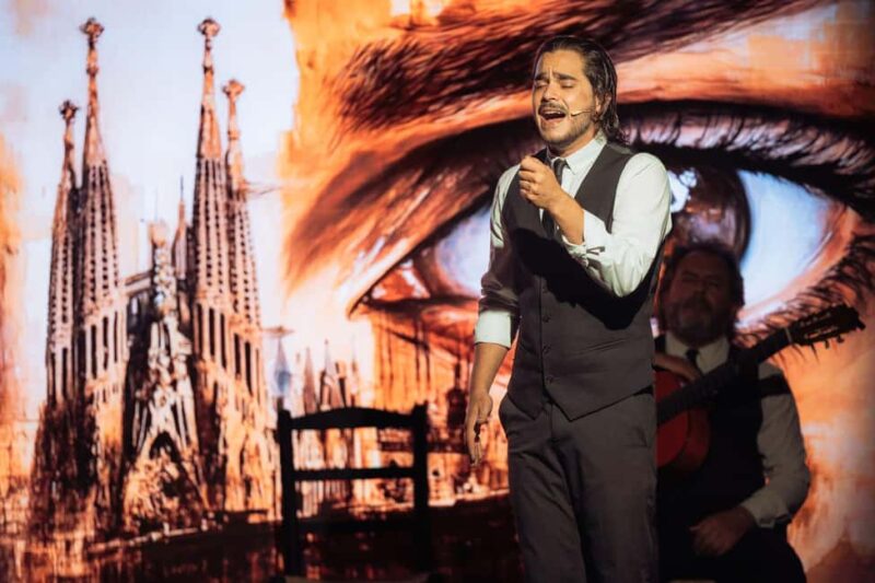 Teatro Flamenco Barcelona: An Authentic Flamenco Show Live - The Performers: Skilled Artists Bringing Flamenco to Life