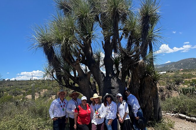 Tehucan Day Tour and Biosphere Reserve - Starting Point and Tour Logistics in Puebla