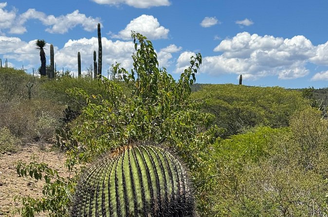 Tehucan Day Tour and Biosphere Reserve - Exploring the Don Isauro Mezcal Distillery