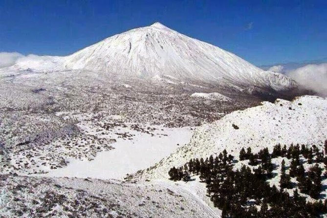 Teide 1/2 Day - Comfortable Private Transportation to Teide National Park