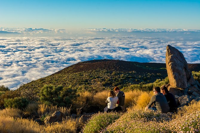 Teide by Night: Sunset & Stargazing with Telescopes Experience - Dining at the Highest Restaurant in the Park