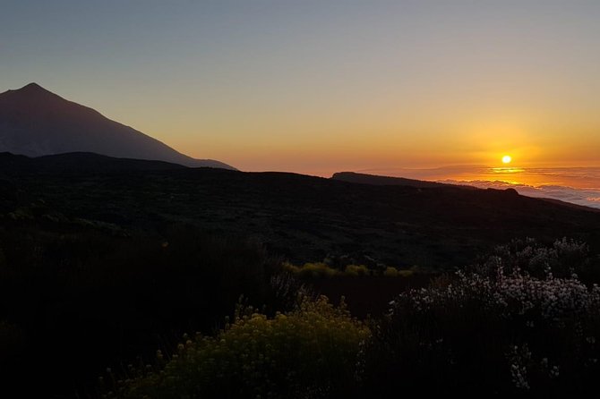 Teide by Night: Sunset & Stargazing with Telescopes Experience - Logistics: Pickup, Group Size, and Weather Policy