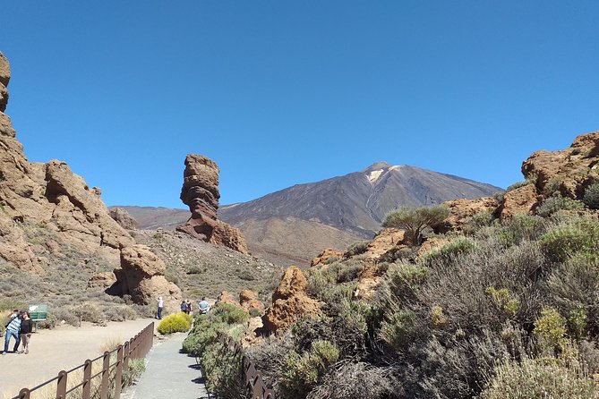 Teide essential Shore Excursion VIP TOUR - Key Points