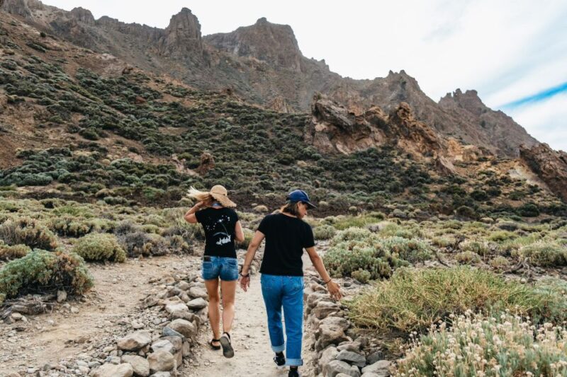 Teide: Guided Sunset & Stargazing Tour by Night with Dinner - The Value and Who Should Consider This Tour