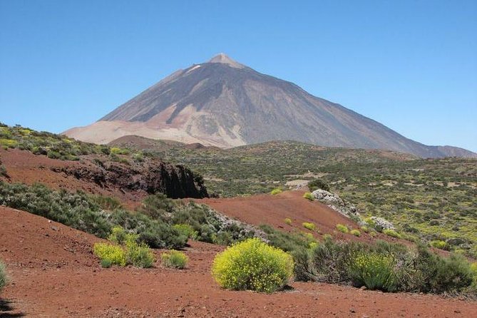 Teide National Park (5-7hours) - Discovering Teide National Park with Guided Ease