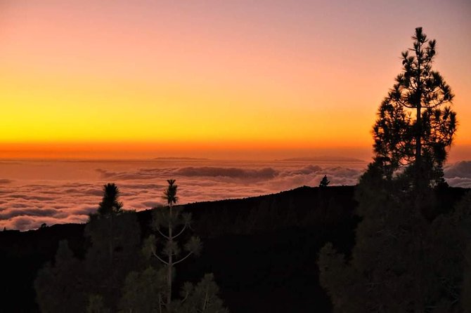 Teide National Park Sunset & Stargazing with Dinner (Star Safari) - Witnessing the Sunset from Parque Recreativo Pinar De Chio