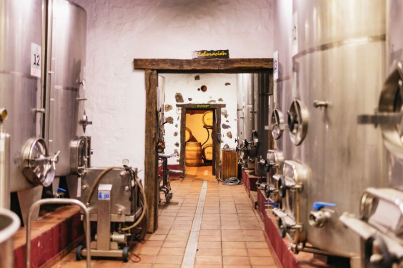 Teide Night Experience with Dinner and Stargazing - Mount Teide’s Night Sky: What Makes It Special