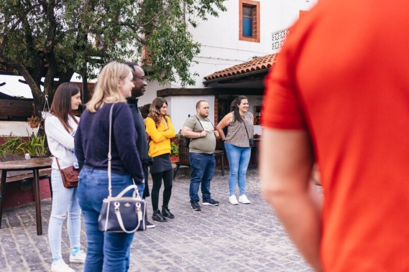 Teide Night Experience with Dinner and Stargazing - The Challenges of Outdoor Evening Tours