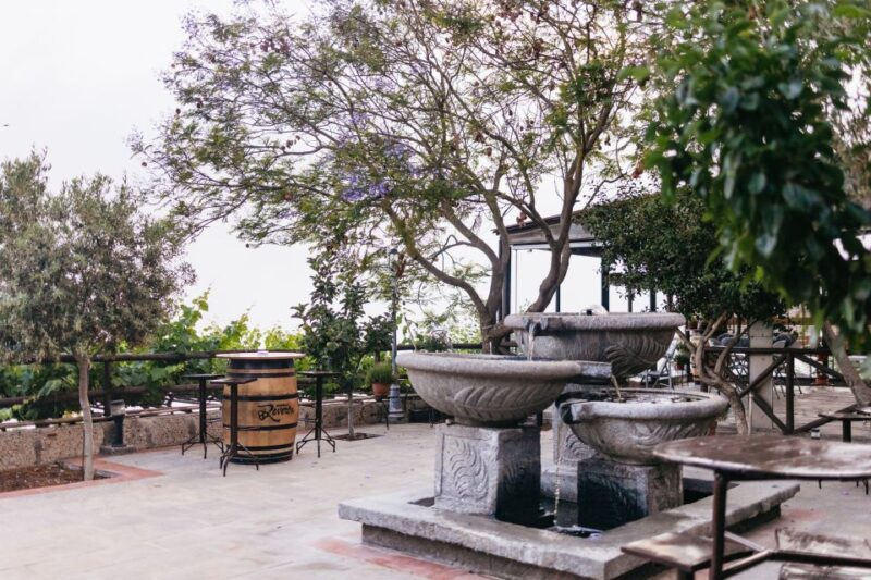 Teide Night Experience with Dinner and Stargazing - Logistics and Group Experience