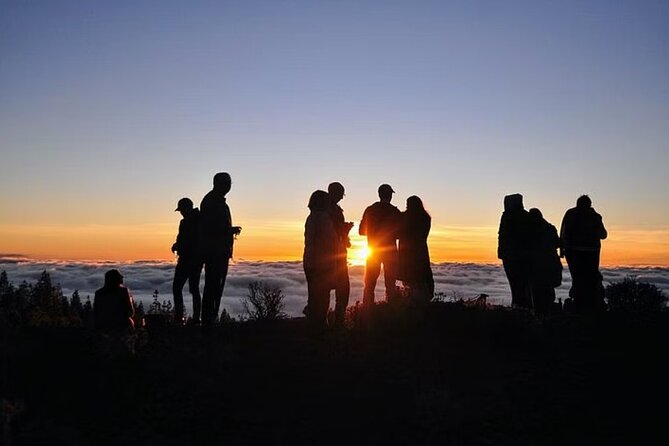 TEIDE NIGHT, Stargazing Bus Tour, Meal & Drinks included! - Food and Drinks: What’s Included?