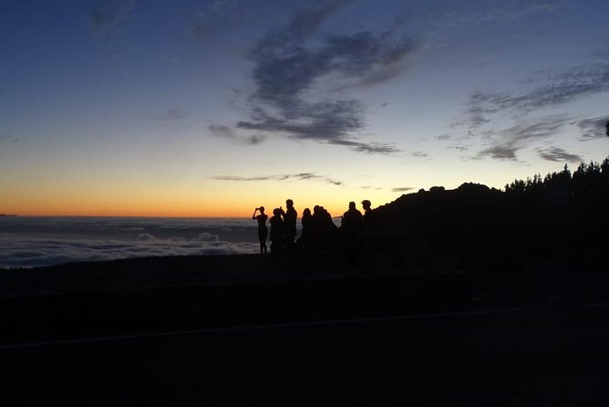 TEIDE NIGHT, Stargazing Bus Tour, Meal & Drinks included! - Logistics: Easy Pickup and Group Size