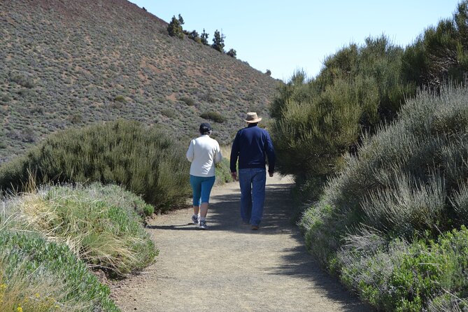 TEIDE: VIP tour - In-Depth Exploration of Teide’s Geology, Flora, and Fauna
