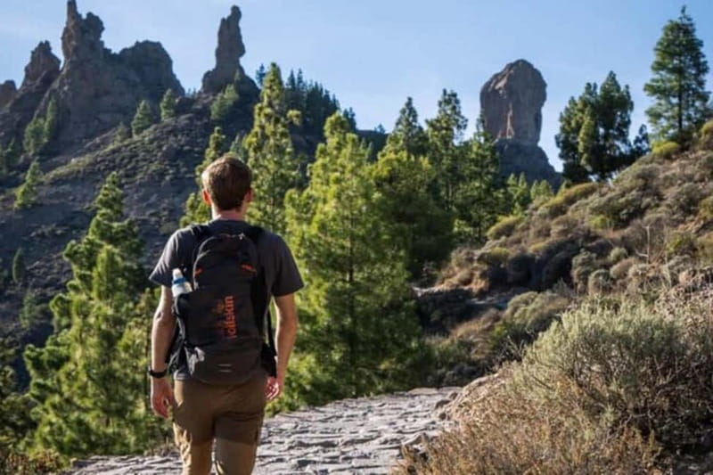 Tejeda: Roque Nublo Base Camp Xperience: Hike, Picnic & More - Tejeda: Roque Nublo Base Camp Xperience - Hike, Picnic & More