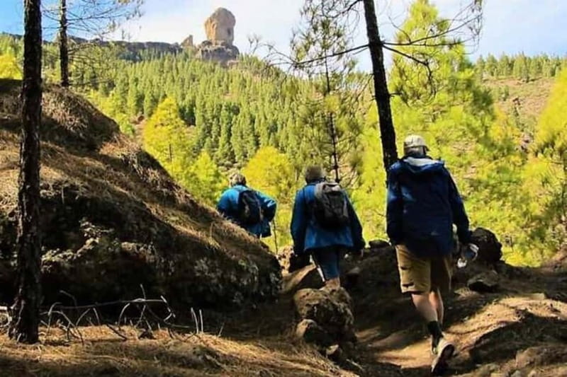 Tejeda: Roque Nublo Base Camp Xperience: Hike, Picnic & More - What’s Included in the Tour