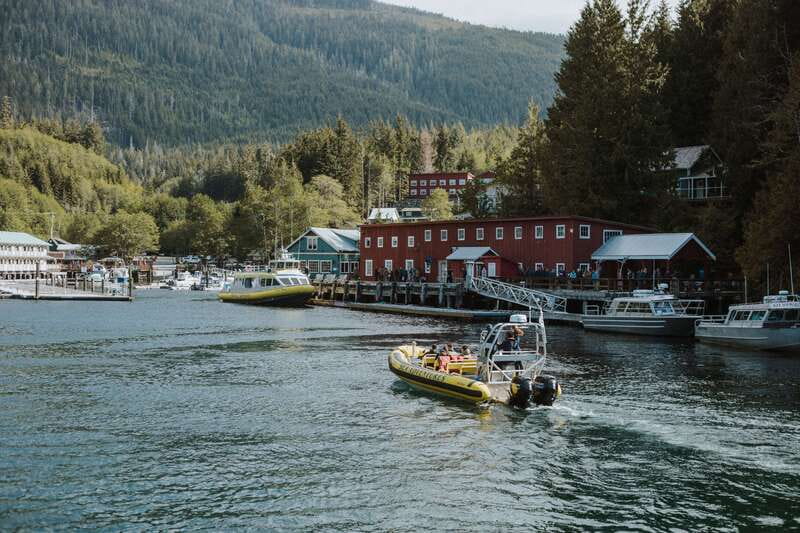 Telegraph Cove: 3-Hour Whale Watching Tour in a Zodiac Boat - Departing from Telegraph Cove for an Authentic BC Whale Safari