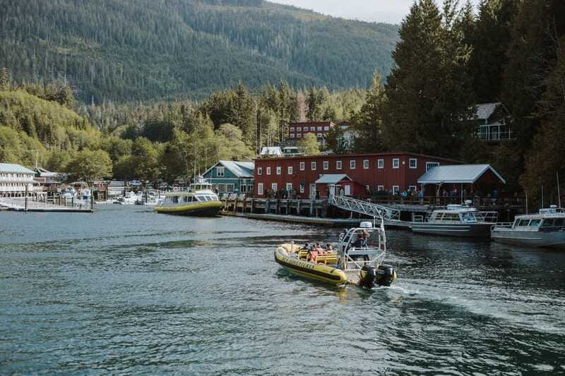 Telegraph Cove: 3-Hour Whale Watching Tour in a Zodiac Boat - Booking, Cancellation, and Flexibility Options