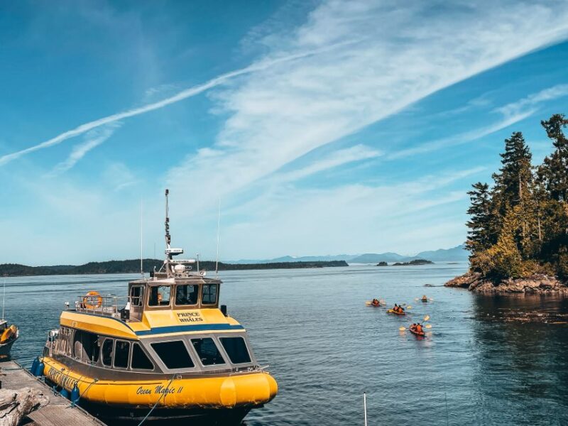 Telegraph Cove: Whale Watching Adventure with Free Photos - Who Would Enjoy This Whale Watching Tour Most