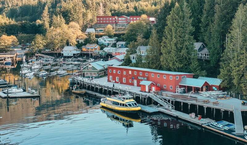 Telegraph Cove: Whale Watching Adventure with Free Photos - The Value of a Whale Watching Adventure from Telegraph Cove
