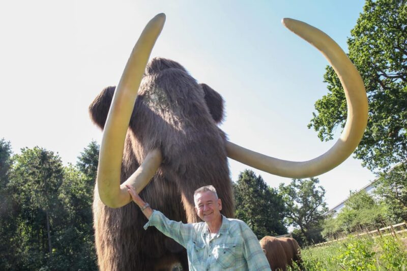 TELFORD: Hoo Zoo and Dinosaur World Entry Ticket - Limitations and Considerations