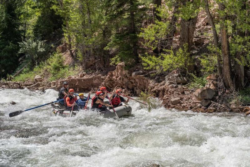 Telluride 1 Day Rafting Trip with Lunch - San Miguel River - Key Points