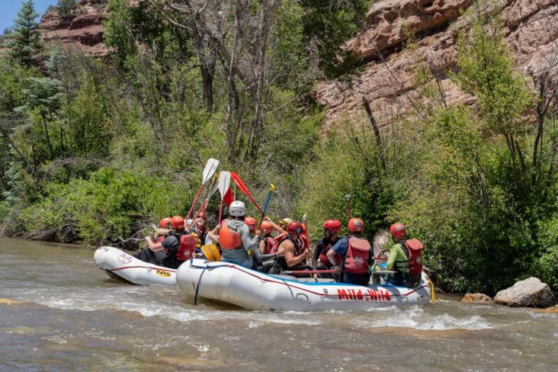 Telluride 1 Day Rafting Trip with Lunch - San Miguel River - Flexibility and Cancellation Policy
