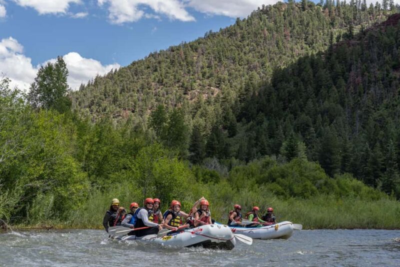 Telluride 1 Day Rafting Trip with Lunch - San Miguel River - Ideal Participants and Physical Requirements