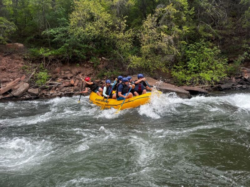 Telluride: Half-Day Rafting on the San Miguel River - Exciting Half-Day Rafting Adventure in Telluride for $132