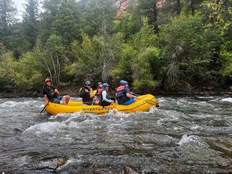 Telluride: Half-Day Rafting on the San Miguel River - Scenic Starting Point Near Telluride