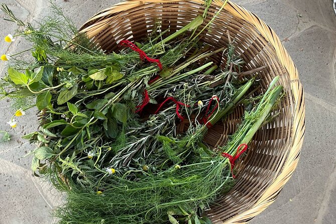 Temazcal Ceremony in Tepoztlan Healing and Tradition - The Experience Provider: Temazcal Tepoztlán - Sanación Ancestral