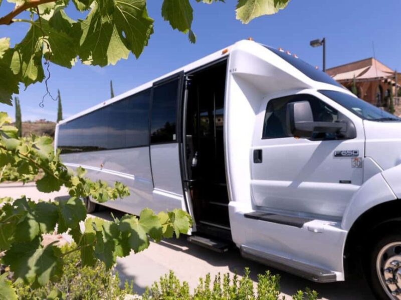 Temecula Valley 4-Hour Wine Tour with Tastings Included - Who Should Consider This Tour