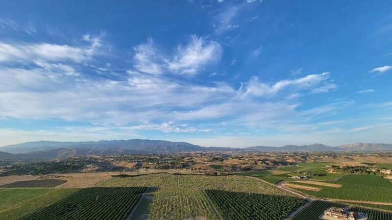 Temecula Valley: Sunrise Hot Air Balloon Ride with Champagne - Key Points