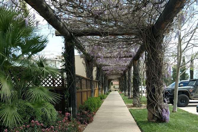 Temecula Valley Wineries and Vineyards Drink and Taste Tour From Orange County - The Role of the Local Guide and Live Commentary