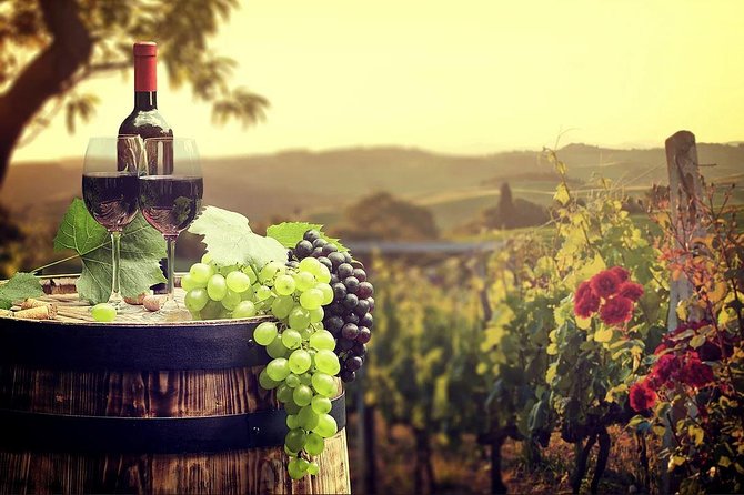 Temecula Wine Country Tour from San Diego - Key Points