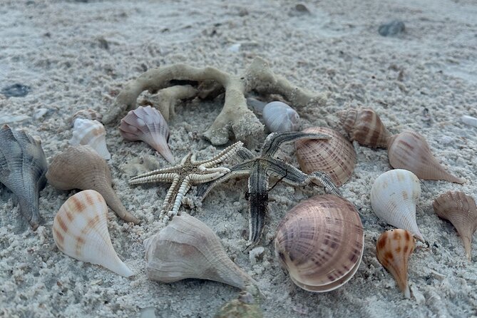 Ten Thousand Islands Sunset, Beach and Eco Tour - Key Points