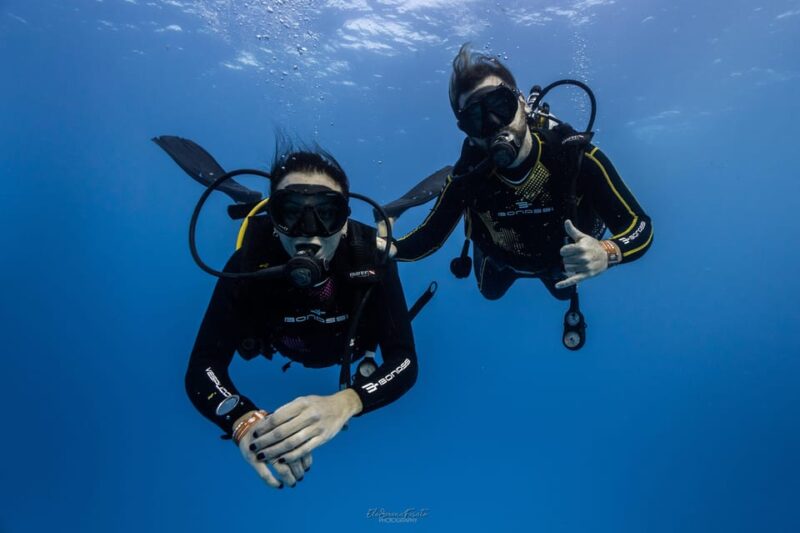 Tenerife - 2 Guided Dives for Certified Divers - Half Day - Equipment and Support Provided