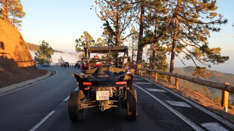 Tenerife: 3,5 Hours Buggy Tour from South Tenerife - Starting Point at Las Chafiras with Clear Directions