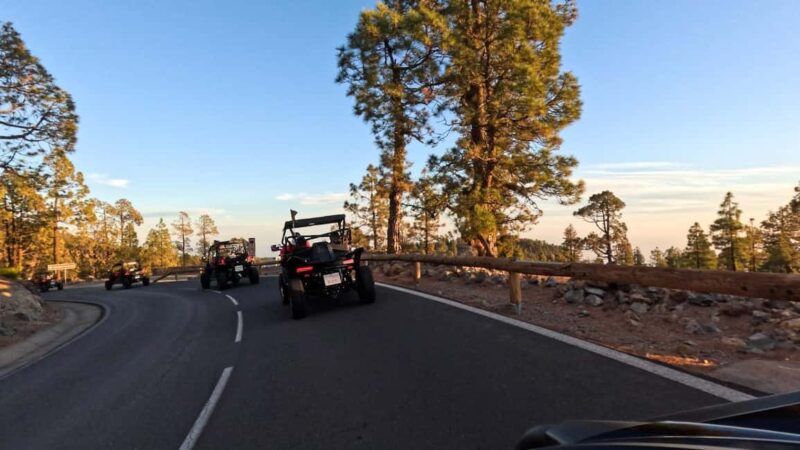 Tenerife: 3,5 Hours Buggy Tour from South Tenerife - Ascend Teide, Spain’s Highest Peak for Panoramic Views