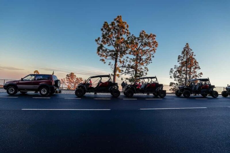 Tenerife: 3,5 Hours Buggy Tour from South Tenerife - Drive Along Tenerife’s Coast for a Stunning Finale