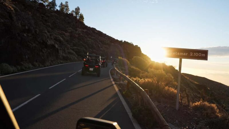 Tenerife: 3,5 Hours Buggy Tour from South Tenerife - Practical Details: Group Size, Safety, and Requirements