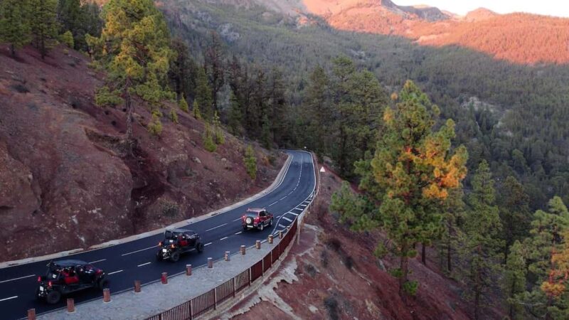 Tenerife: 3,5 Hours Buggy Tour from South Tenerife - Flexibility and Cancellation Policy