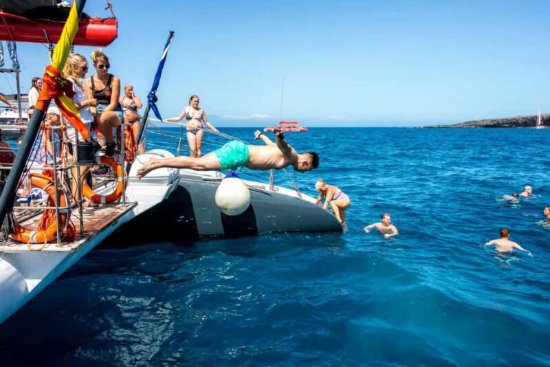 Tenerife: Adults-Only Whale & Dolphin Catamaran Cruise - Who Will Love This Tenerife Whale & Dolphin Cruise?