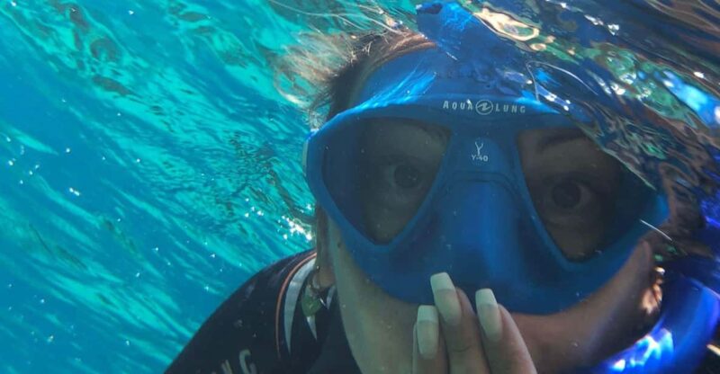 Tenerife: Alcalá Guided Snorkeling Tour - Key Points