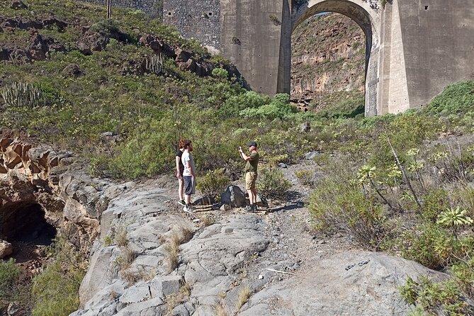 Tenerife Alternative Tour. Candelaria, Abades, Güímar - Comfortable Transport and Convenient Meeting Arrangements