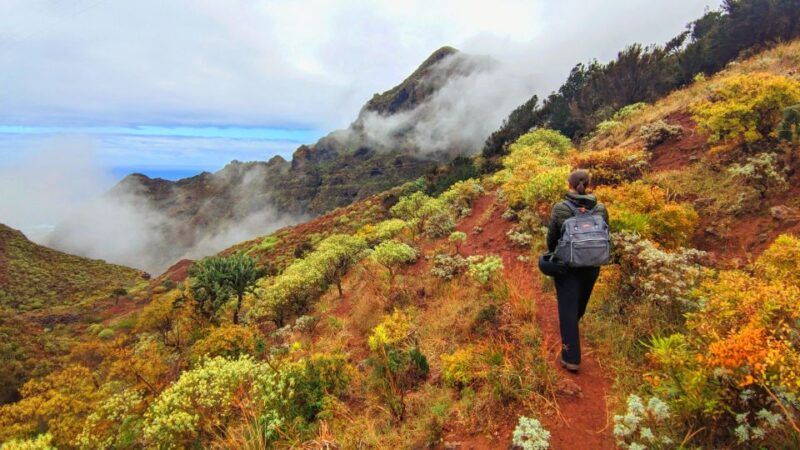 Tenerife: Anaga Hiking Tour & Enchanted Forest with Pickup - Explore Tenerife’s Mystical Anaga Mountains with a Guided Hike and Enchanted Forest Experience